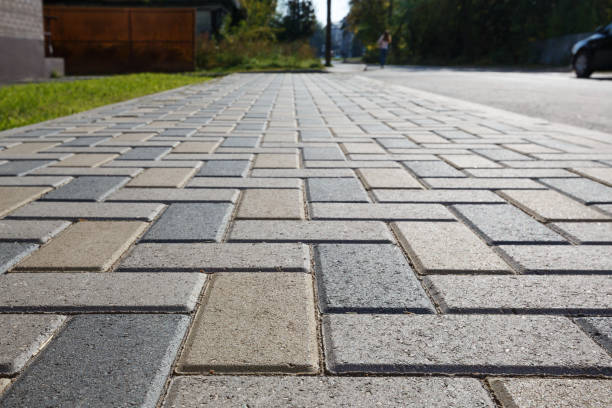 Best Commercial Driveway Pavers  in South Alamo, TX