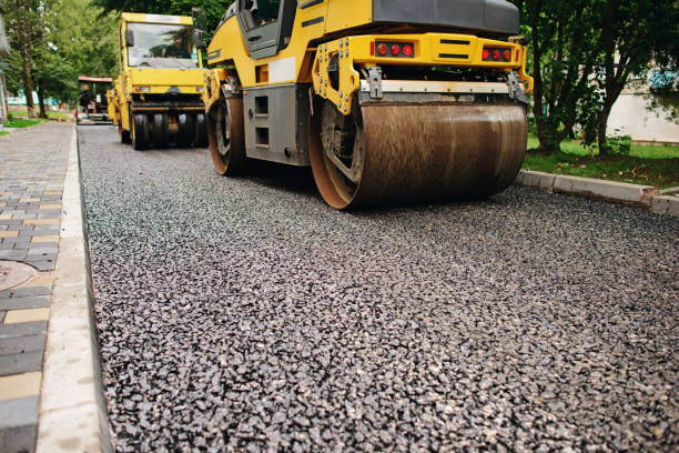 Best Local Driveway Pavers  in South Alamo, TX